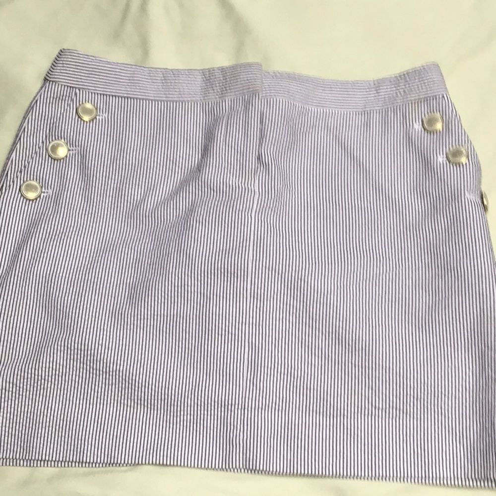 J Crew Skirt